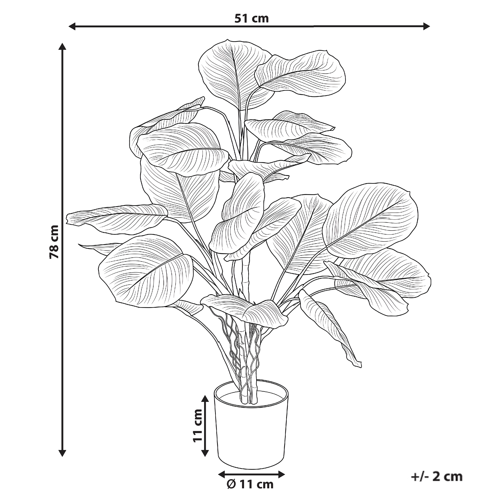 Tekokasvi CALATHEA 78 cm Vihreä