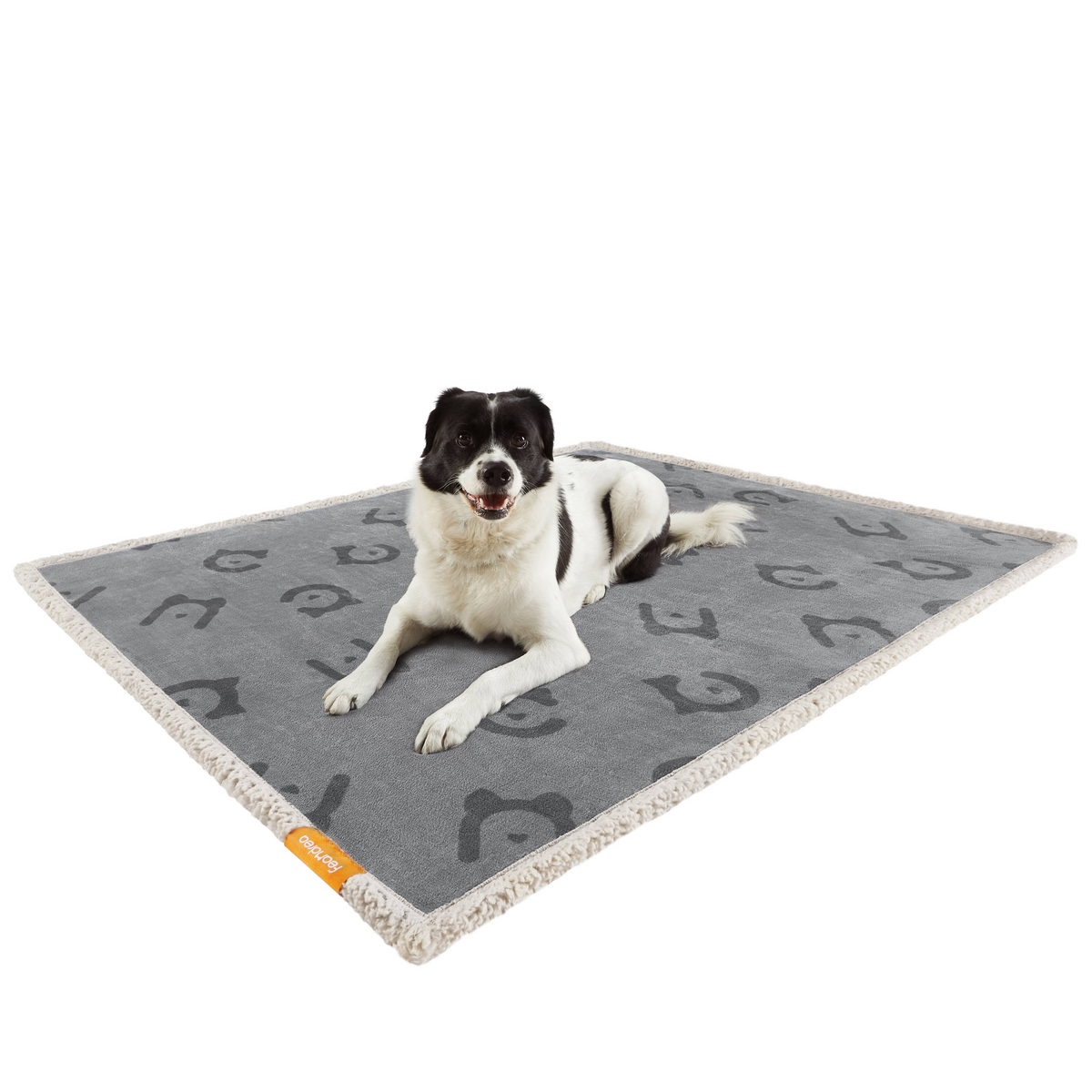 Feandrea koiranpeitto, 127 × 101 cm, harmaa, PPB050G01