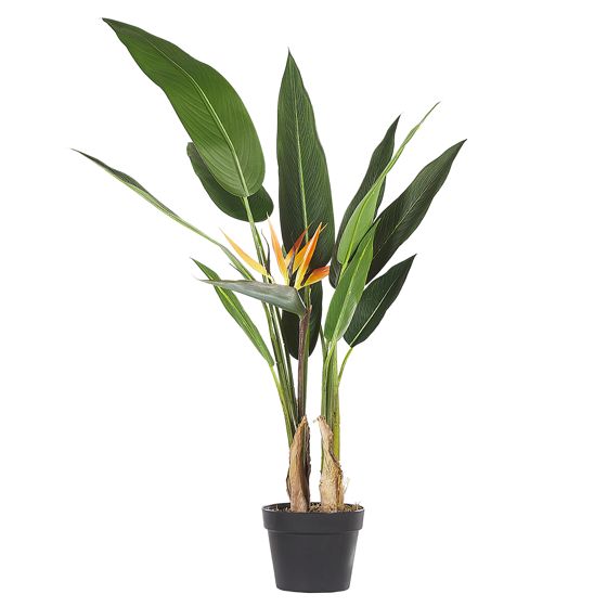 Tekokasvi STRELITZIA TREE 115 cm Vihreä