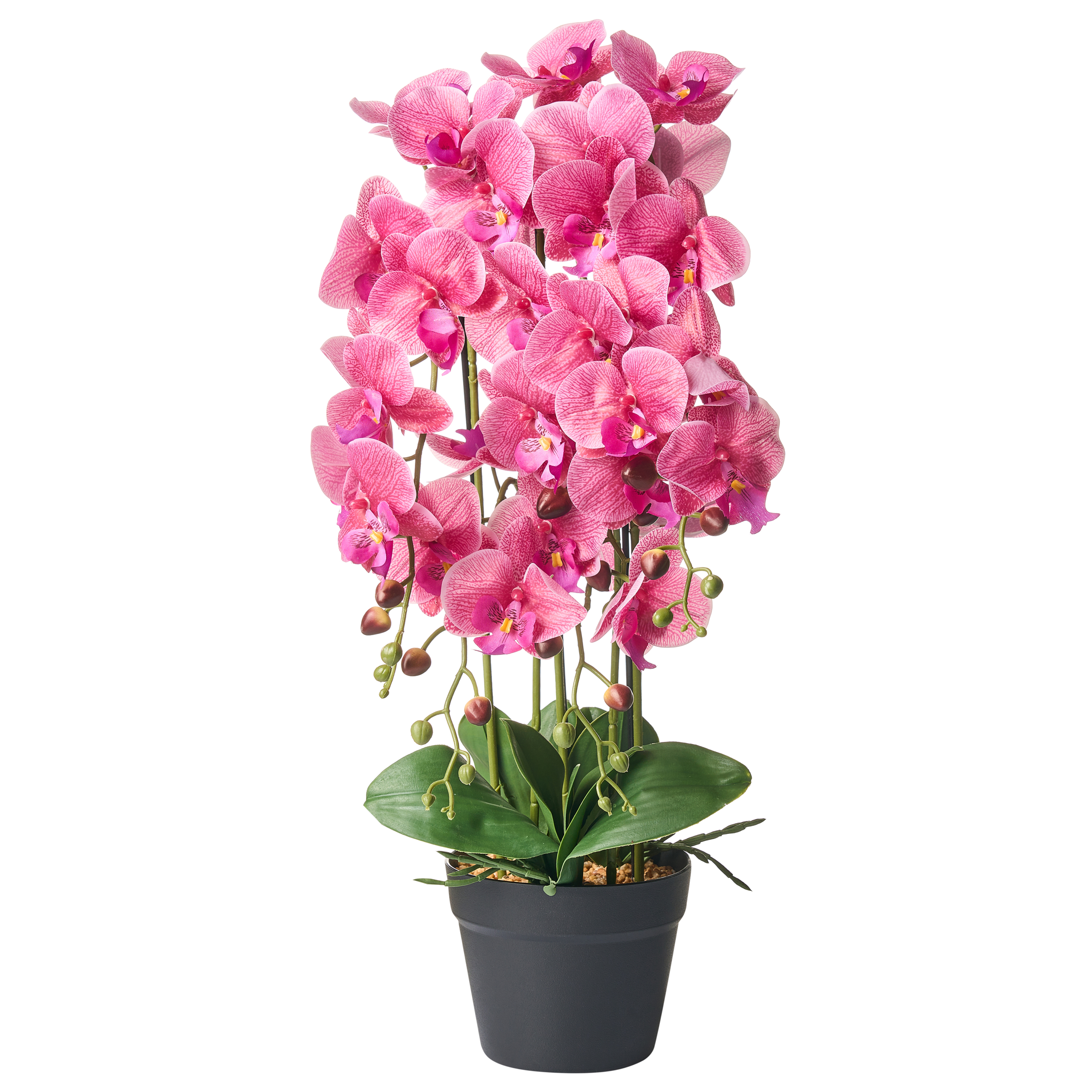 Tekokasvi ORCHID 65 cm Vaaleanpunainen