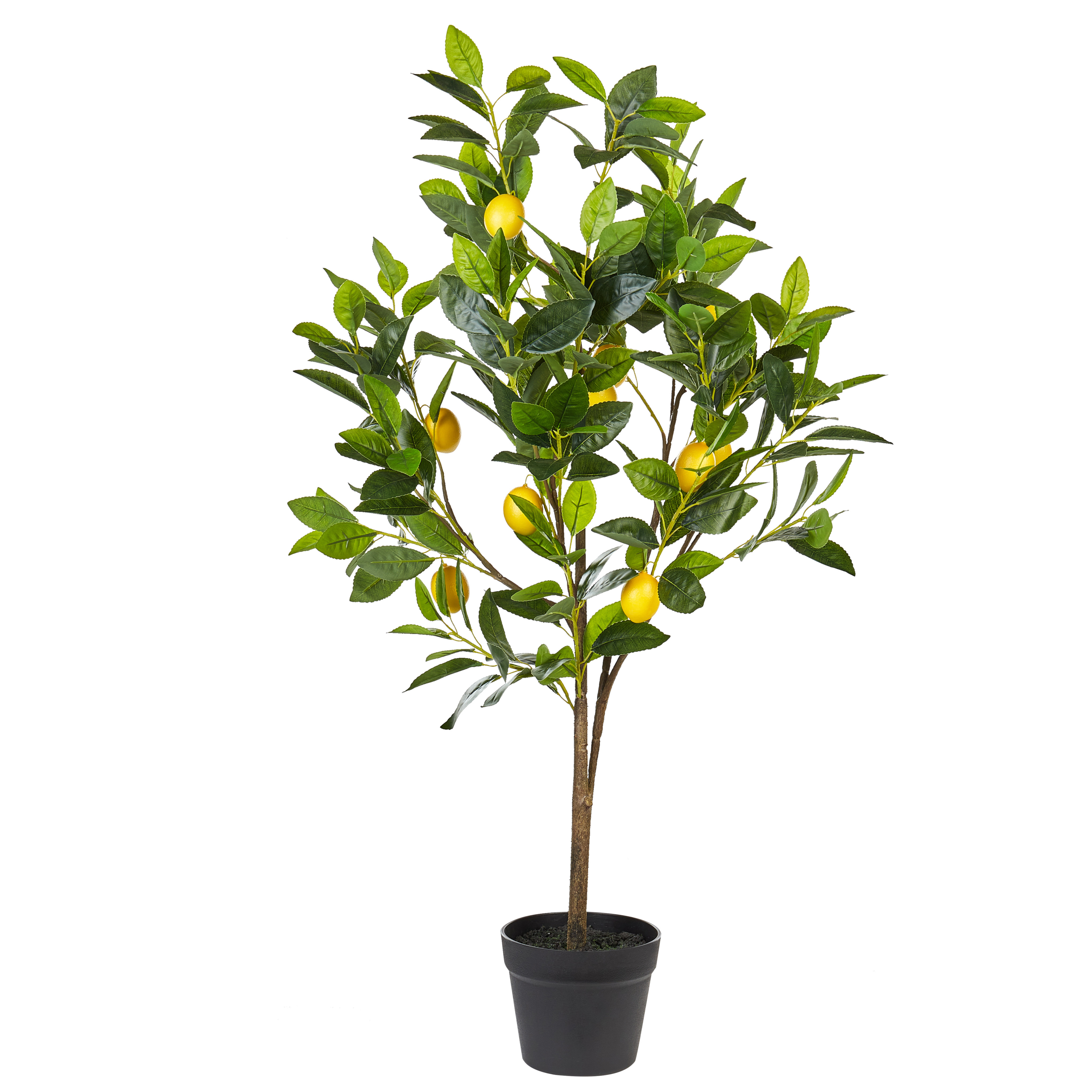 Tekokasvi LEMON TREE 105 cm Vihreä