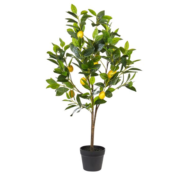 Tekokasvi LEMON TREE 105 cm Vihreä
