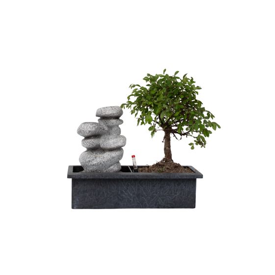 Vesiputous kivet - Bonsai - Korkeus 25-35cm - ⌀29cm