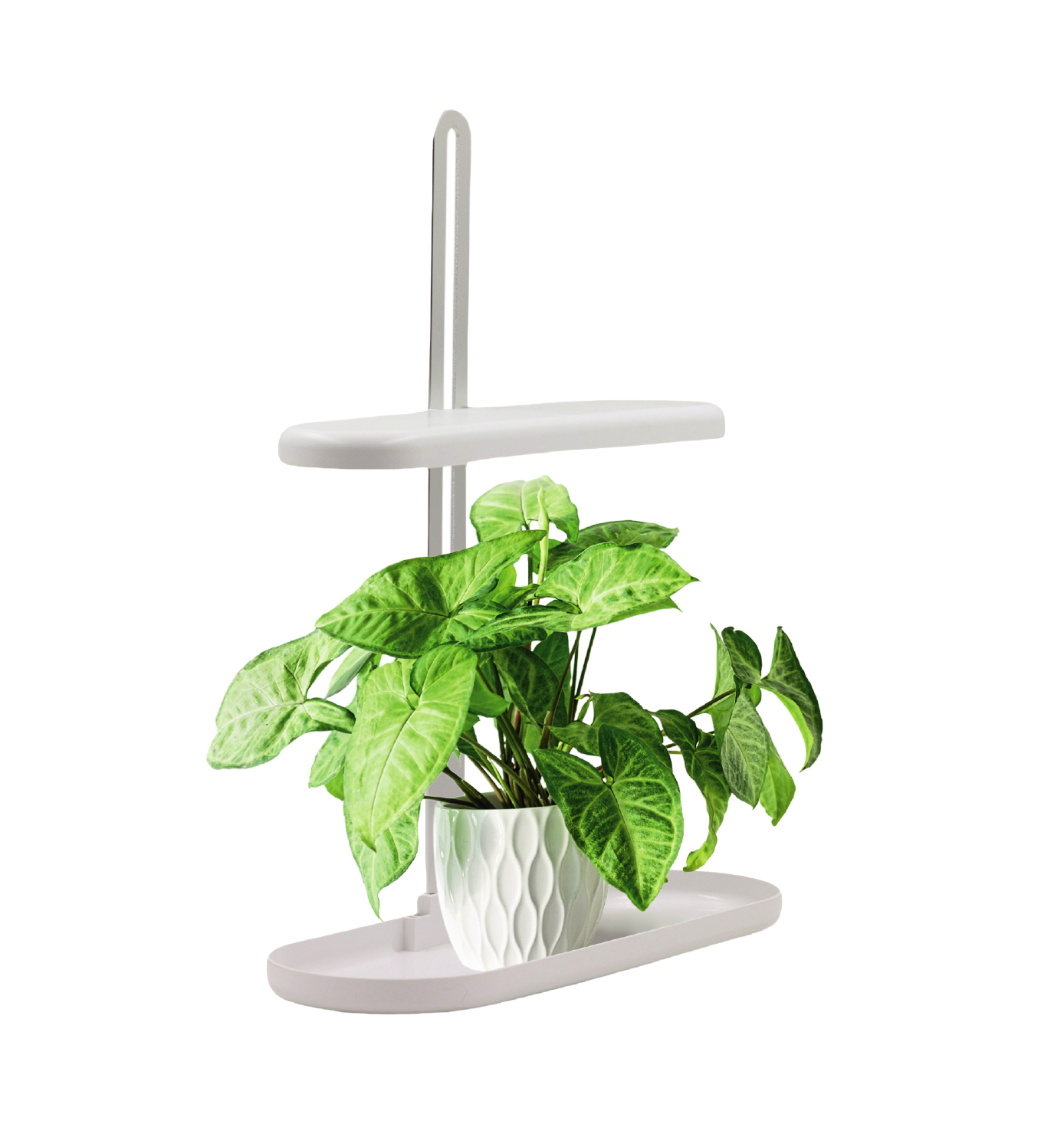 Led Energie Horti kasvivaloalusta 10W 5000K USB