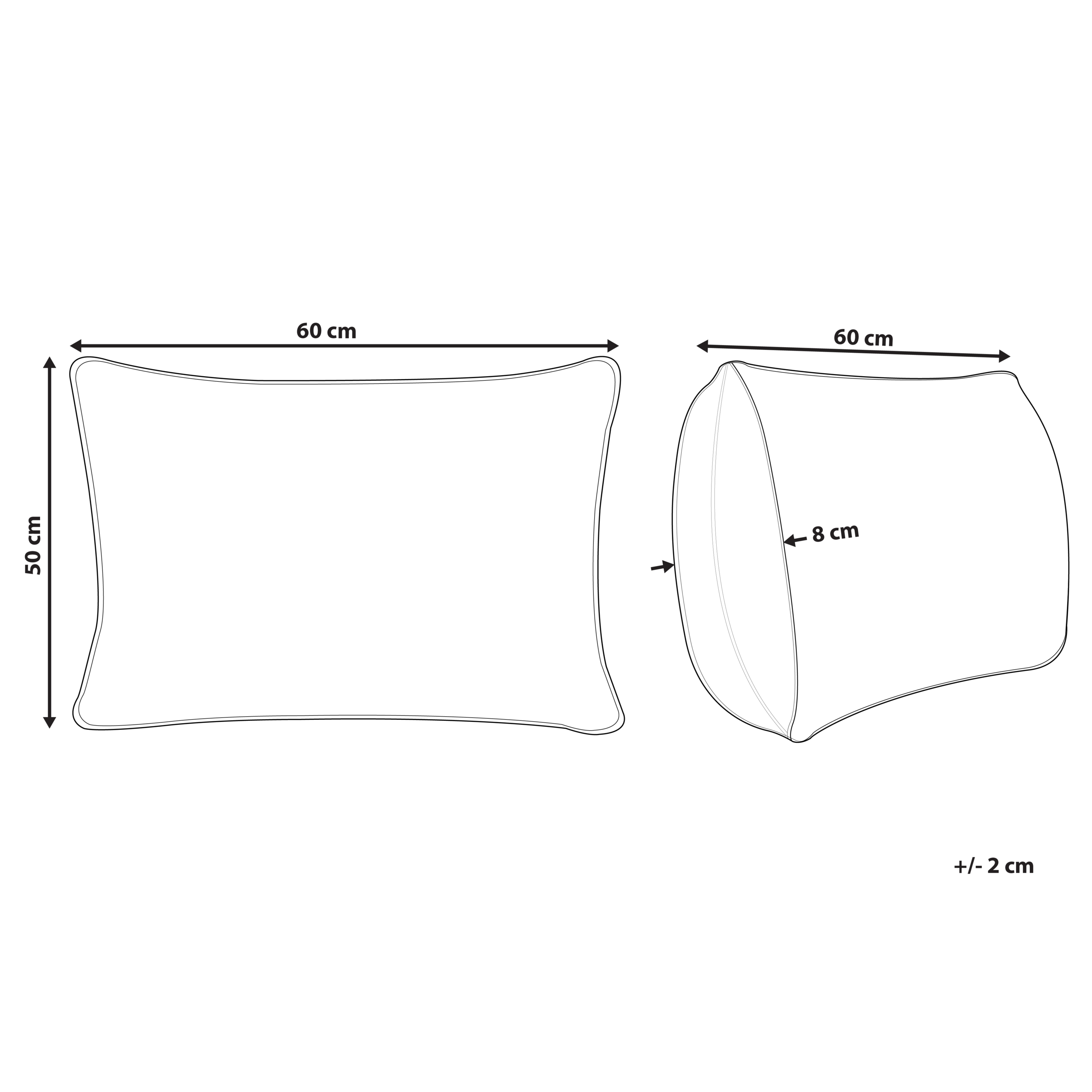 Tyyny ANETO Korkea ankanhöyhenet ja -untuva 50 x 60 cm Valkoinen
