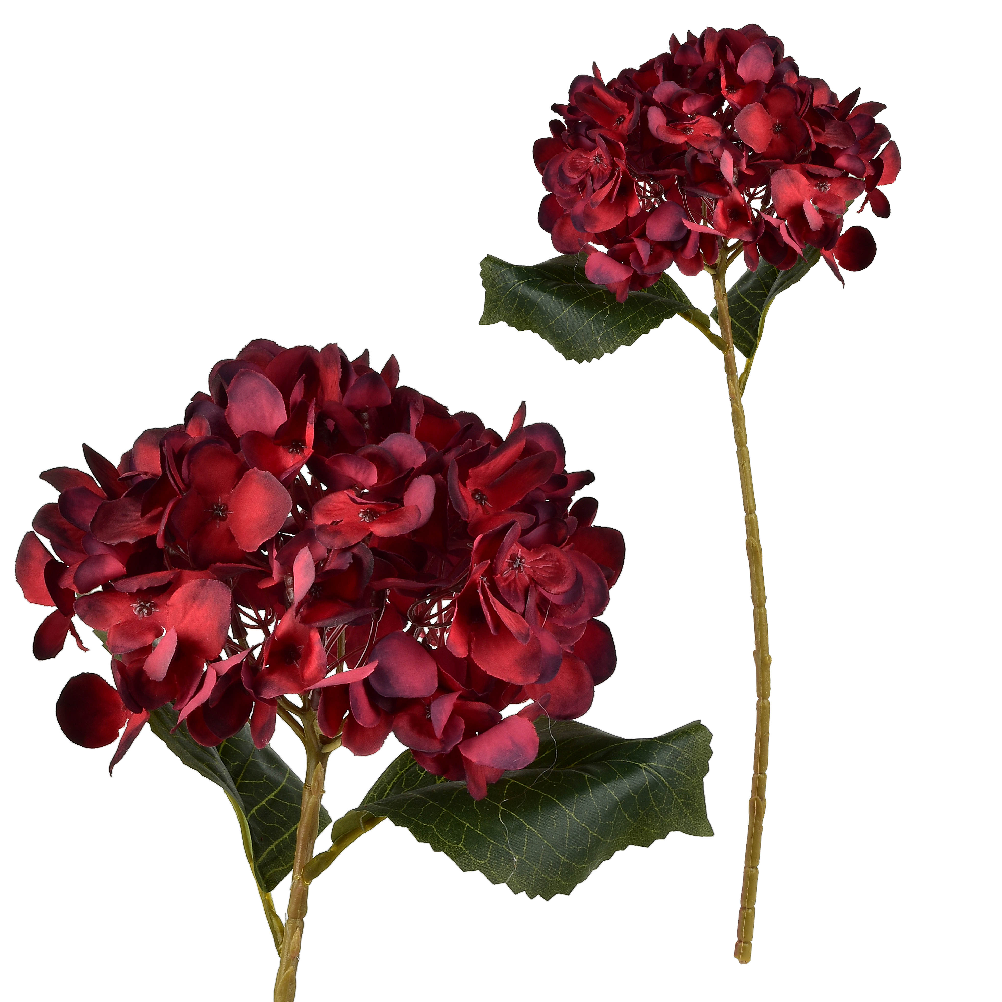 Tekohortensia Prima MONDEX VIRIDIS 47 cm 1 kpl