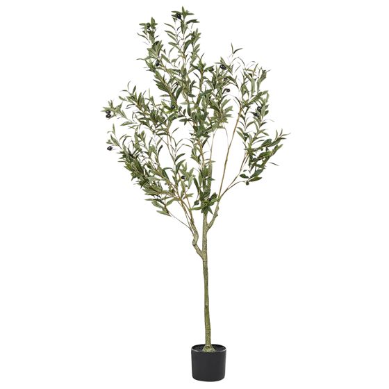 Tekokasvi OLIVE TREE 153 cm Vihreä