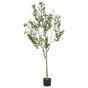 Tekokasvi OLIVE TREE 153 cm Vihreä