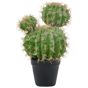 Tekokasvi BALL CACTUS 33 cm Vihreä