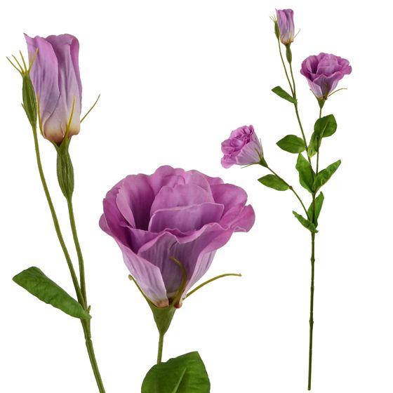 Tekokukka kumitettu MONDEX Viridis Eustoma 70 cm 1 kpl