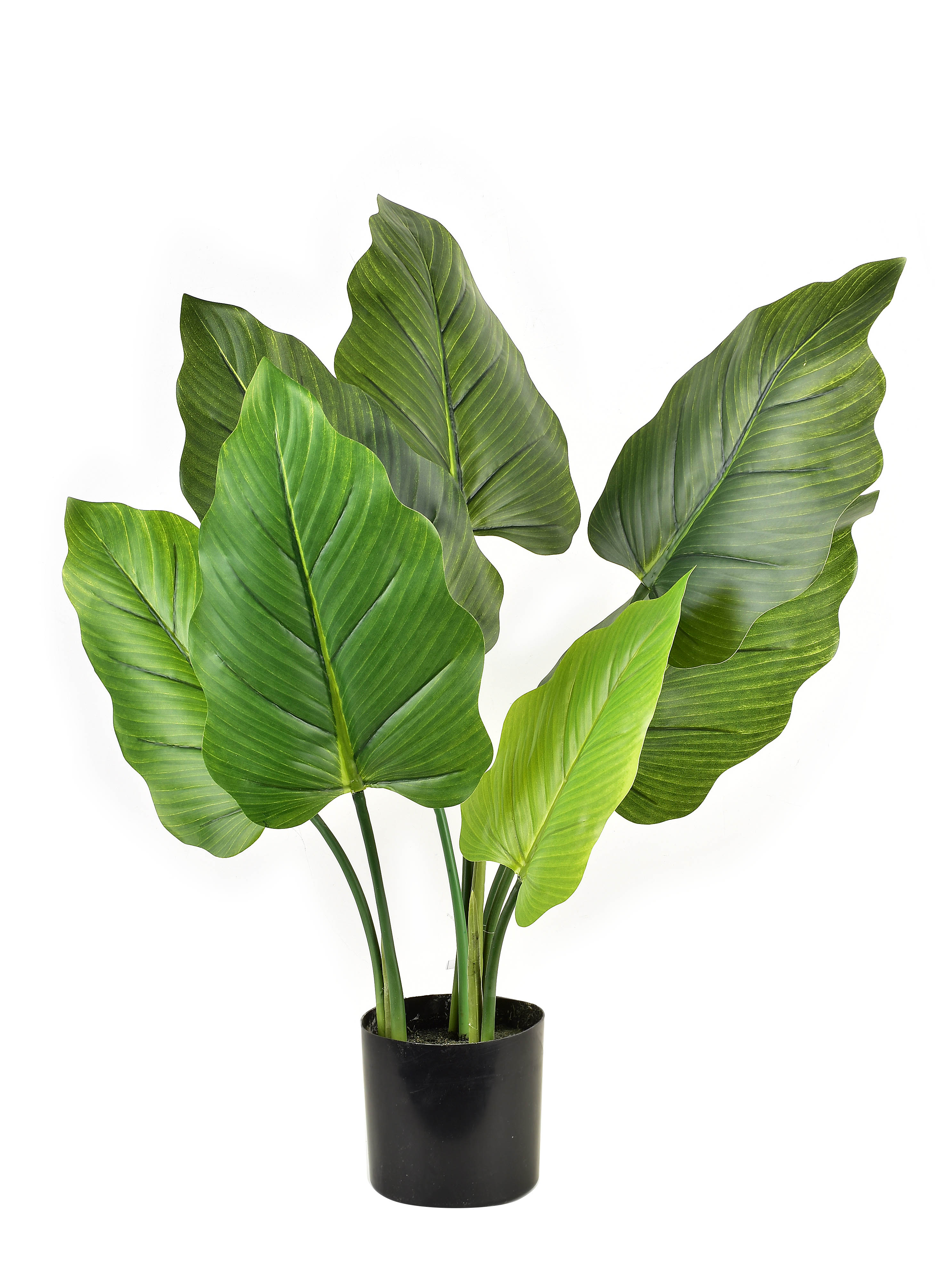 Tekokasvi muovi VIRIDIS Alocasia H65 cm vihreä 1 kpl
