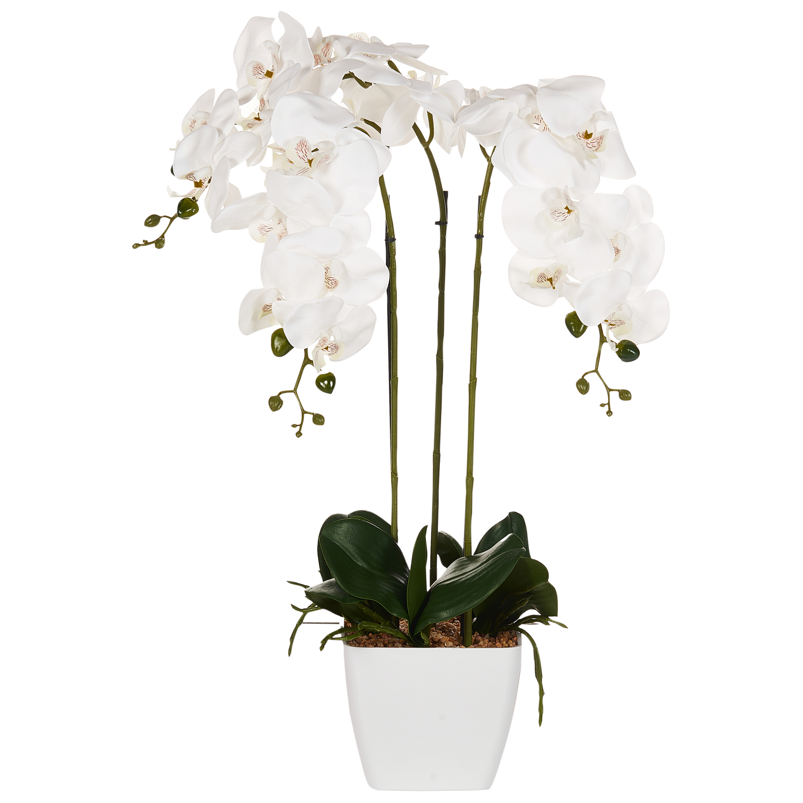 Tekokasvi ORCHID 59 cm Valkoinen