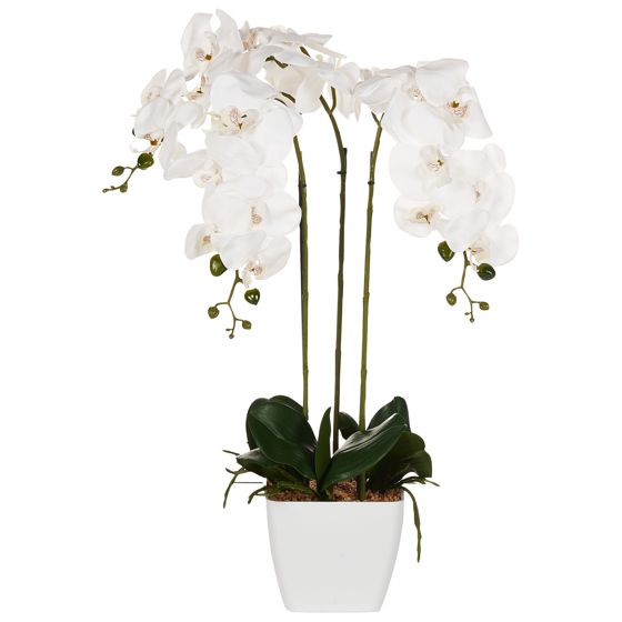 Tekokasvi ORCHID 59 cm Valkoinen