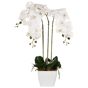 Tekokasvi ORCHID 59 cm Valkoinen