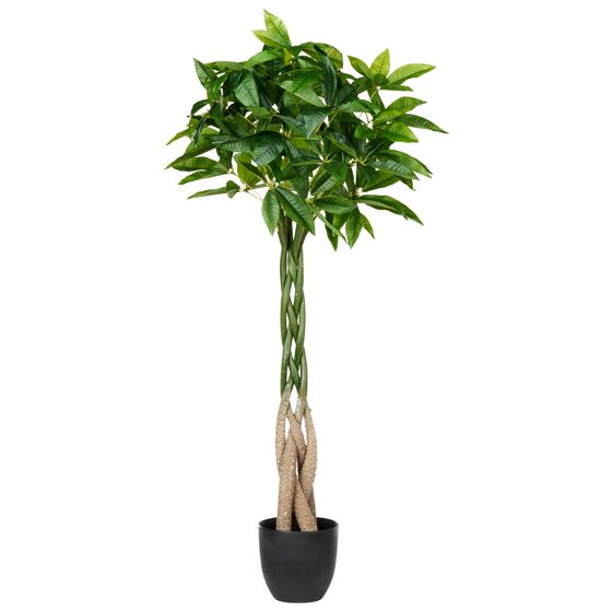 Tekokasvi PACHIRA TREE 120 cm Vihreä