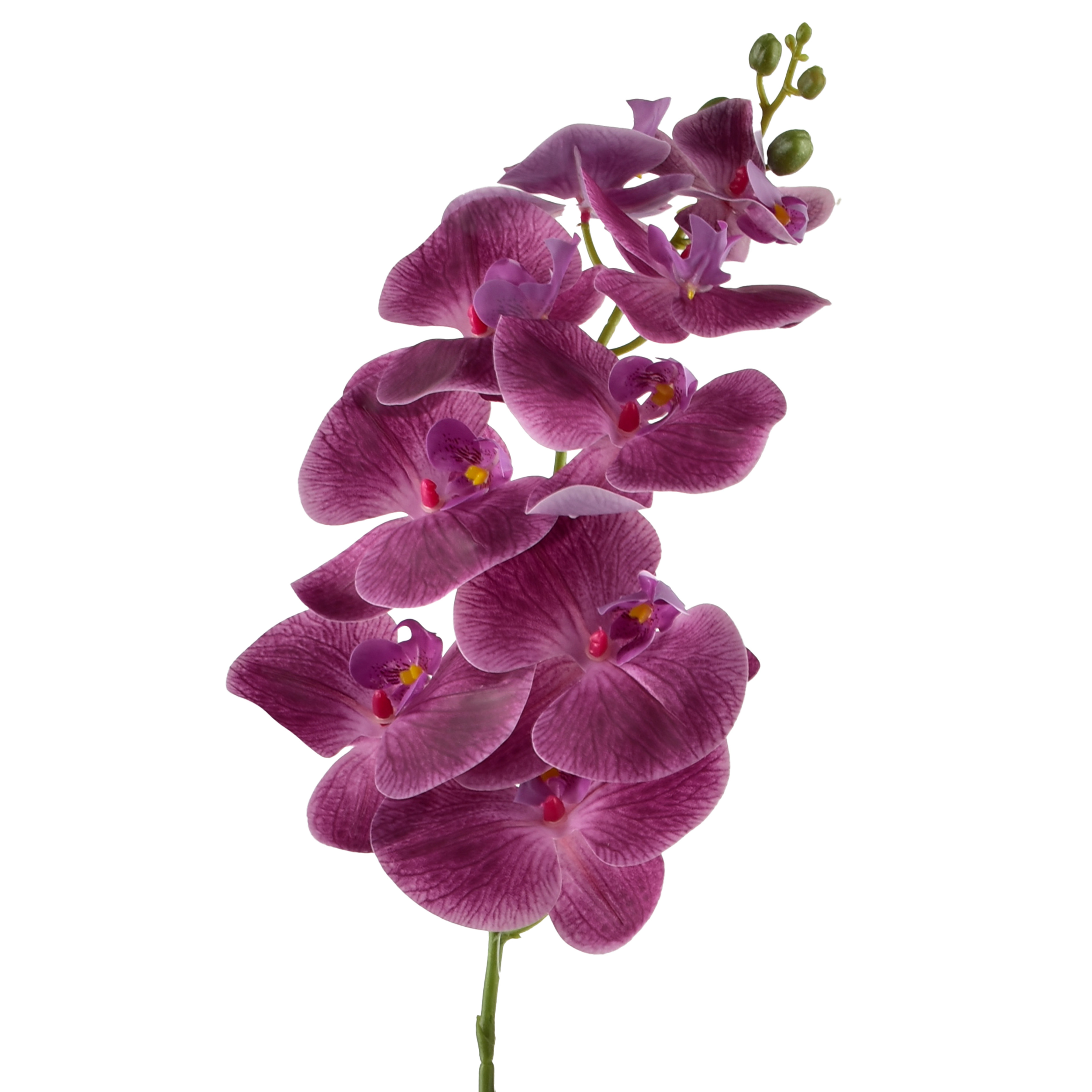 Tekokukka Muovi Viridis Orchidea 90cm valkoinen 1kpl