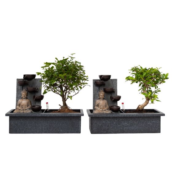 Vesiputous Buddha - 2 kpl - Bonsai - Korkeus 25-35cm - ⌀29cm