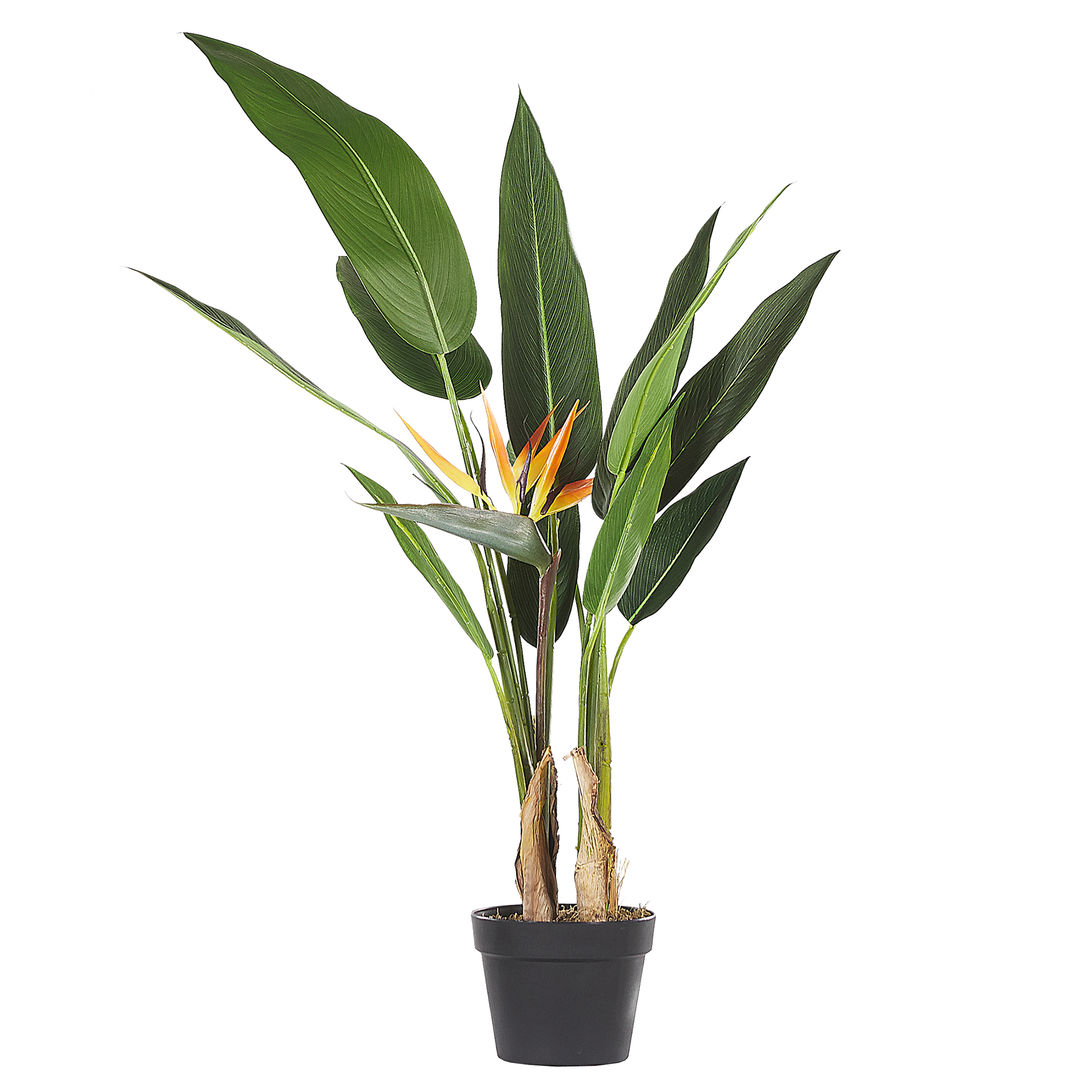 Tekokasvi STRELITZIA TREE 115 cm Vihreä
