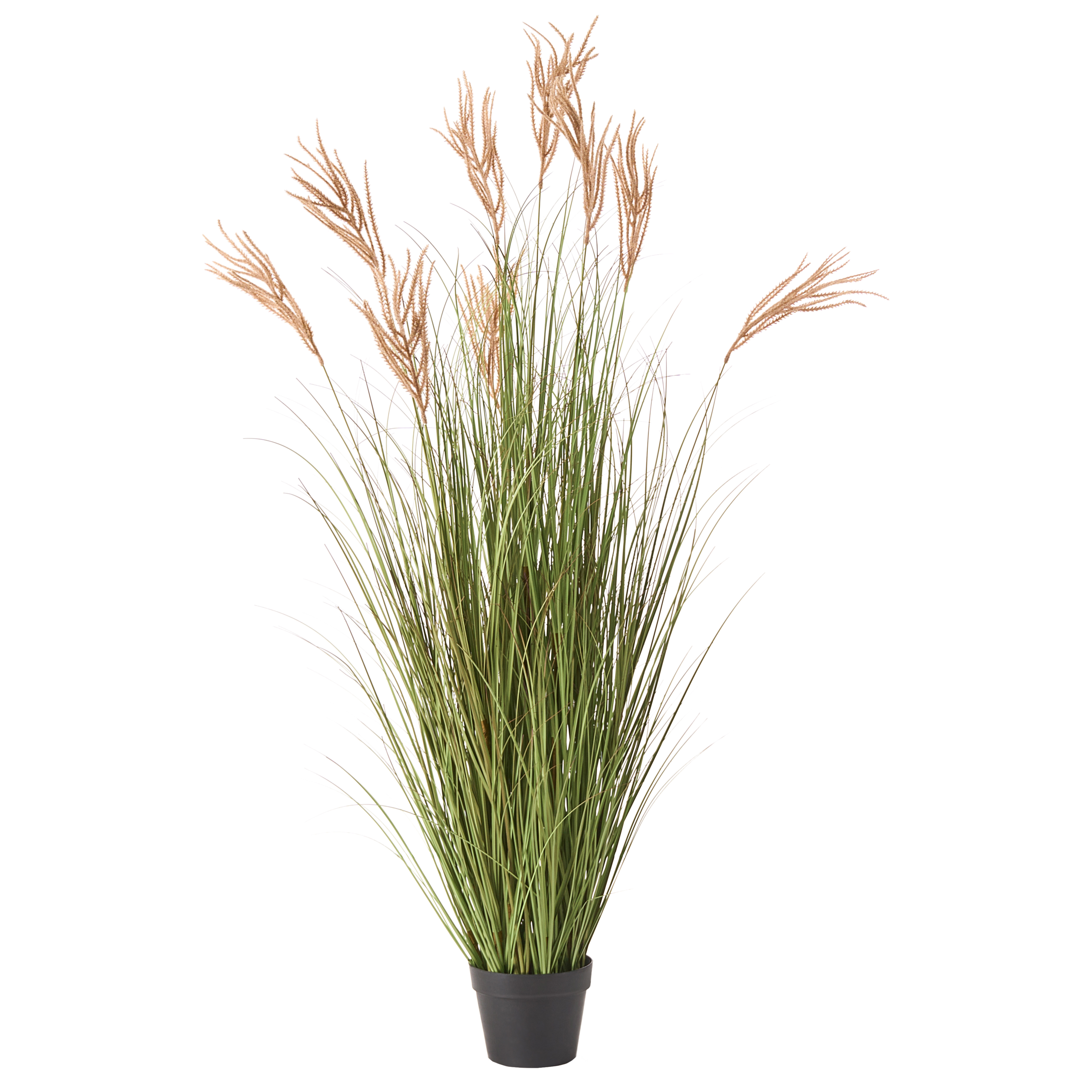 Tekokasvi CLAW FLOWER 150 cm Vihreä