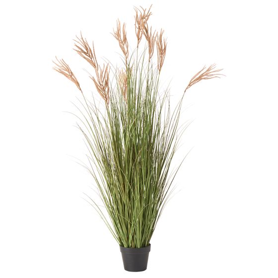 Tekokasvi CLAW FLOWER 150 cm Vihreä