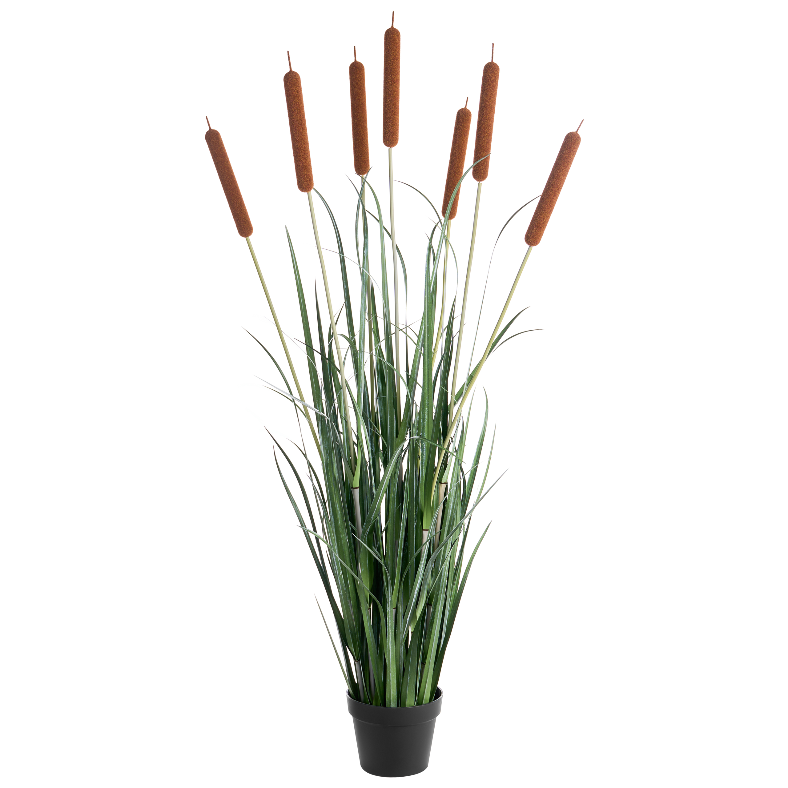 Tekokasvi BULRUSH 135 cm Vihreä