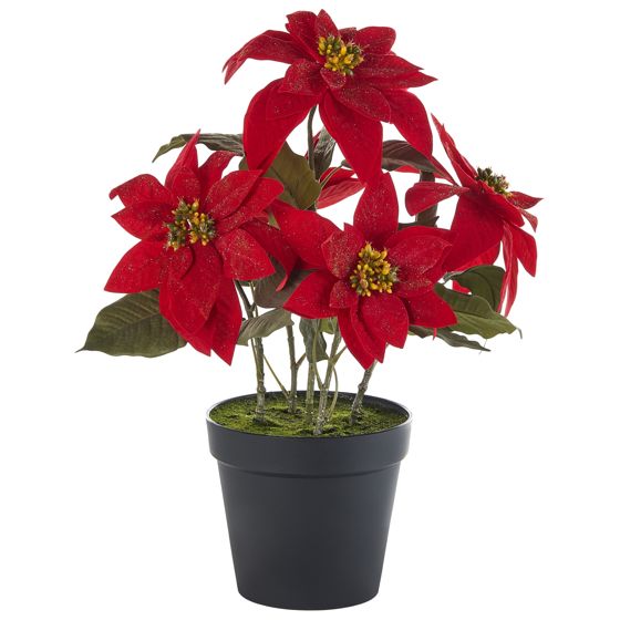 Tekokasvi CHRISTMAS FLOWER 61 cm Punainen