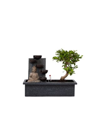 Vesiputous Buddha - Bonsai - Korkeus 25-35cm - ⌀29cm