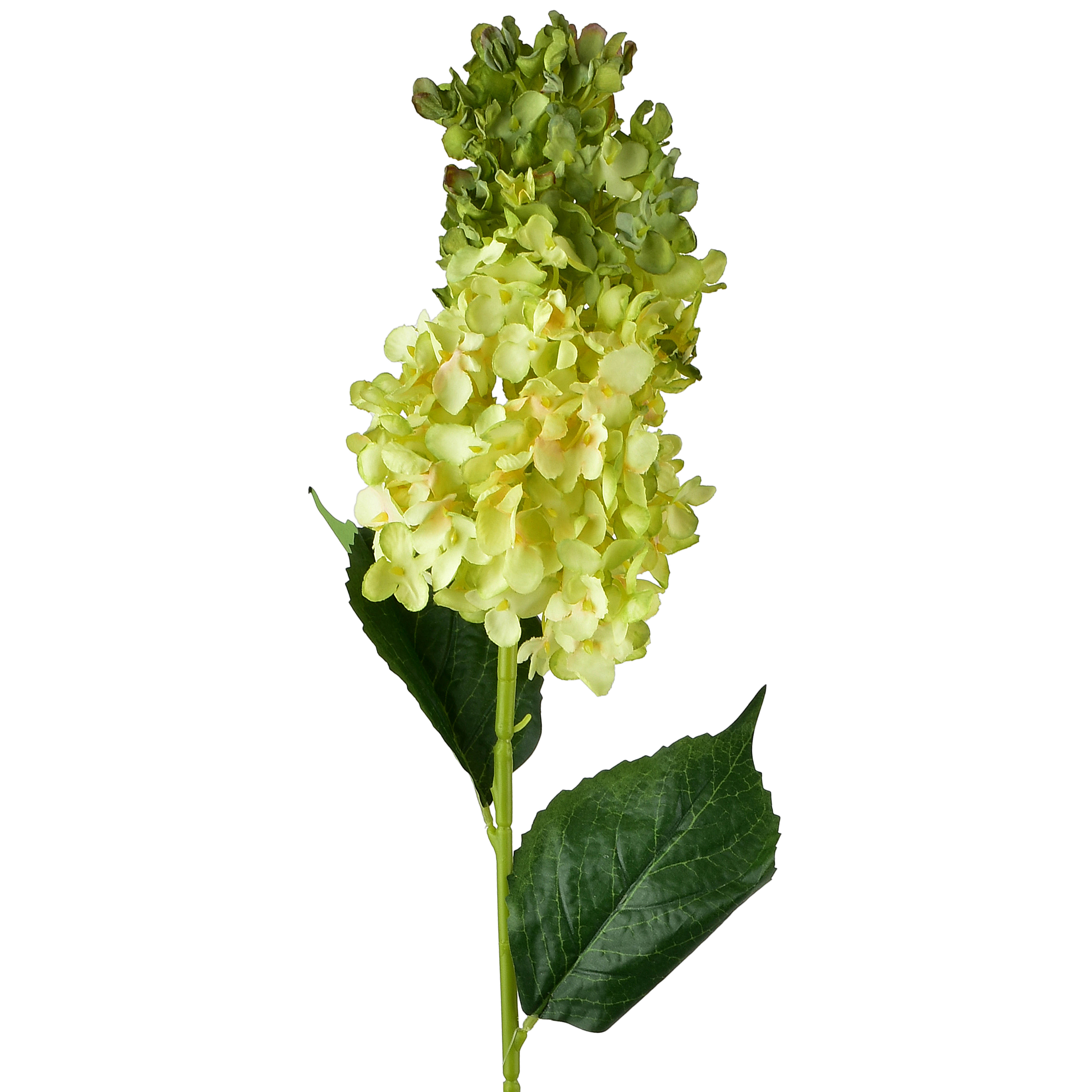 Kukkaoksa muovi Viridis Hortensia 80cm vihreä 1kpl