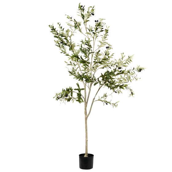 Tekokasvi OLIVE TREE 178 cm Vihreä