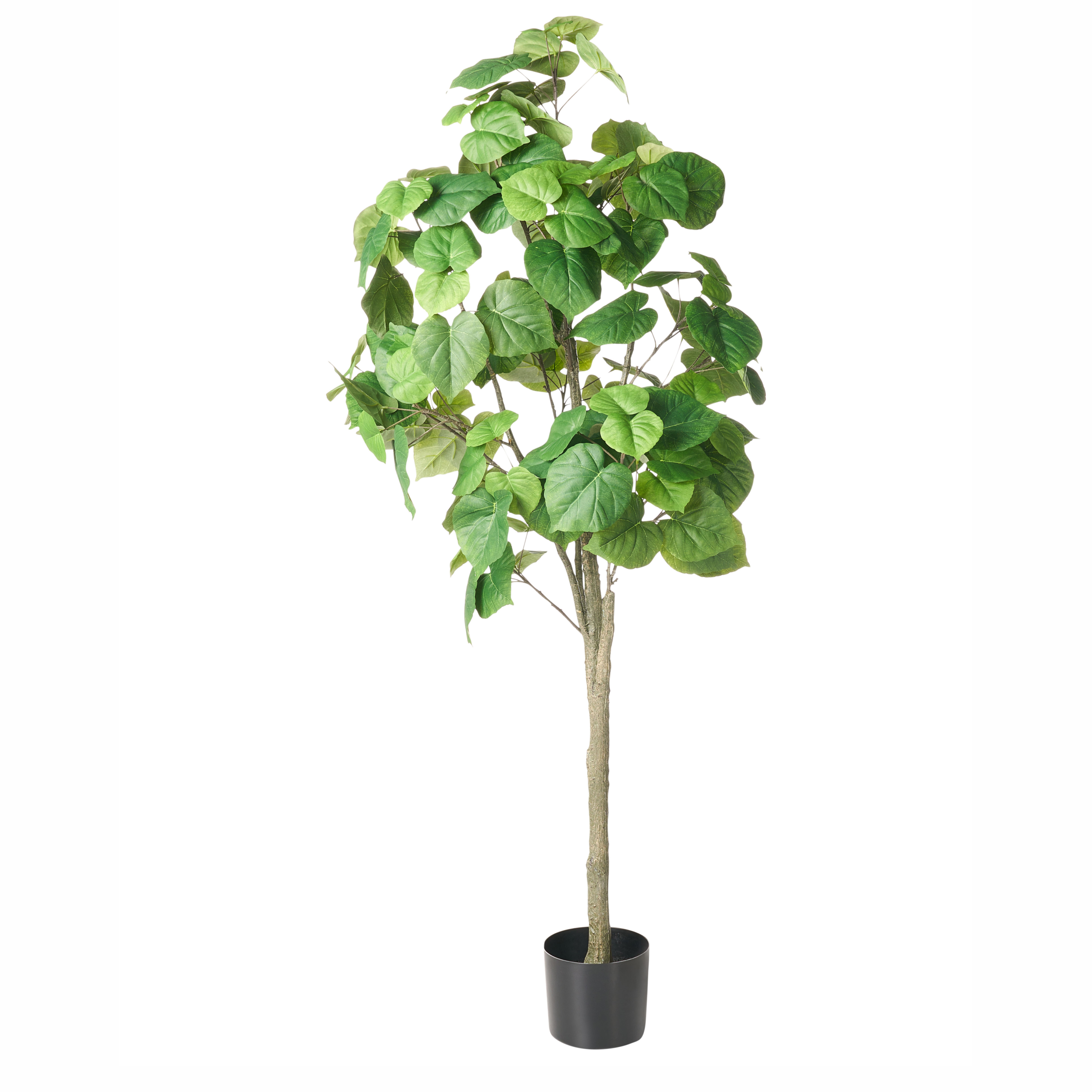 Tekokasvi FICUS TREE 160 cm Vihreä