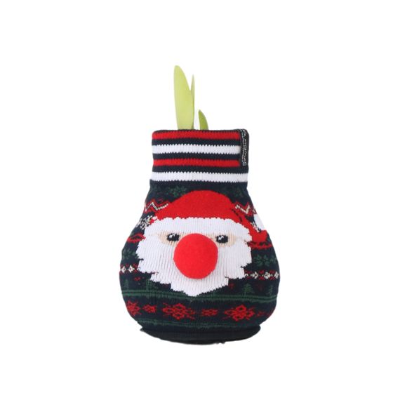 Amaryllis - Hippeastrum 'Santa Sweater' - Kukkasipuli - Punainen