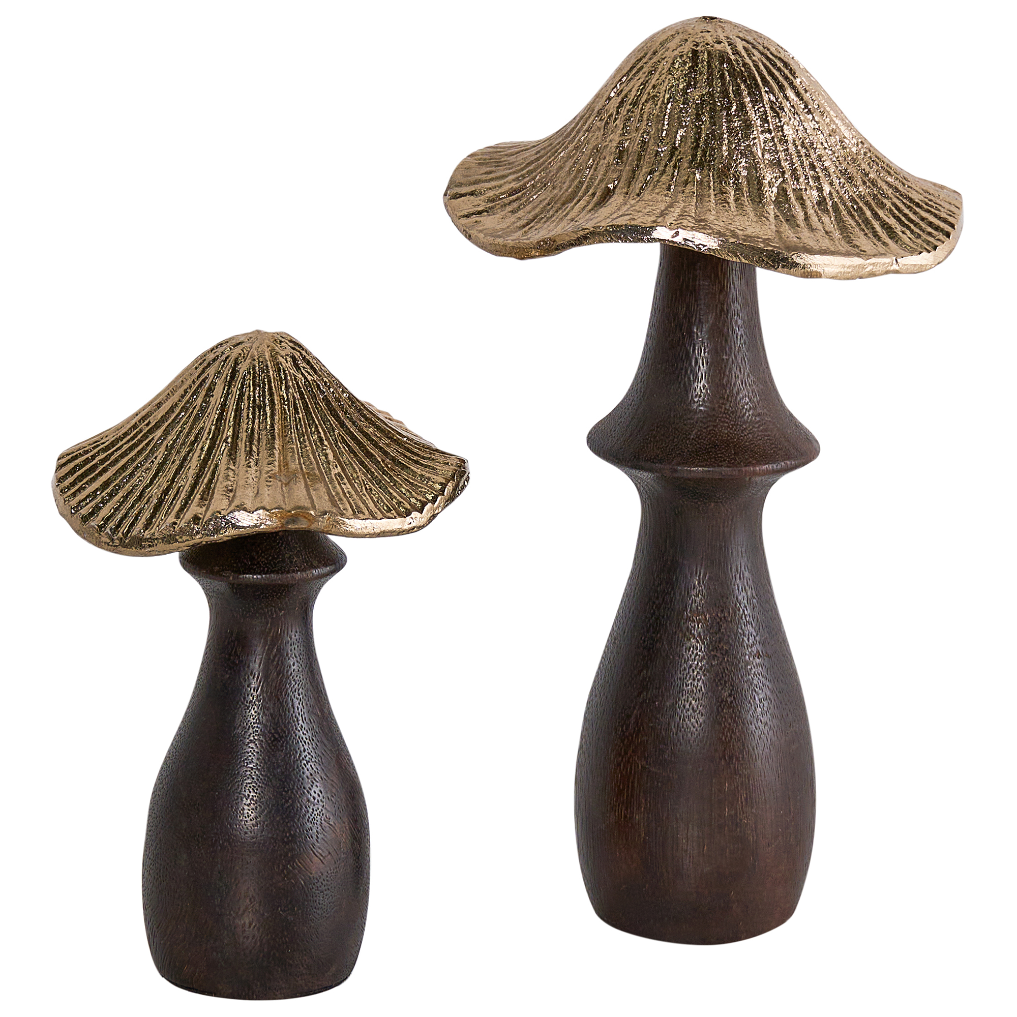 Koristesetti 2 kpl Sieni DUBLJANI Musta/kulta