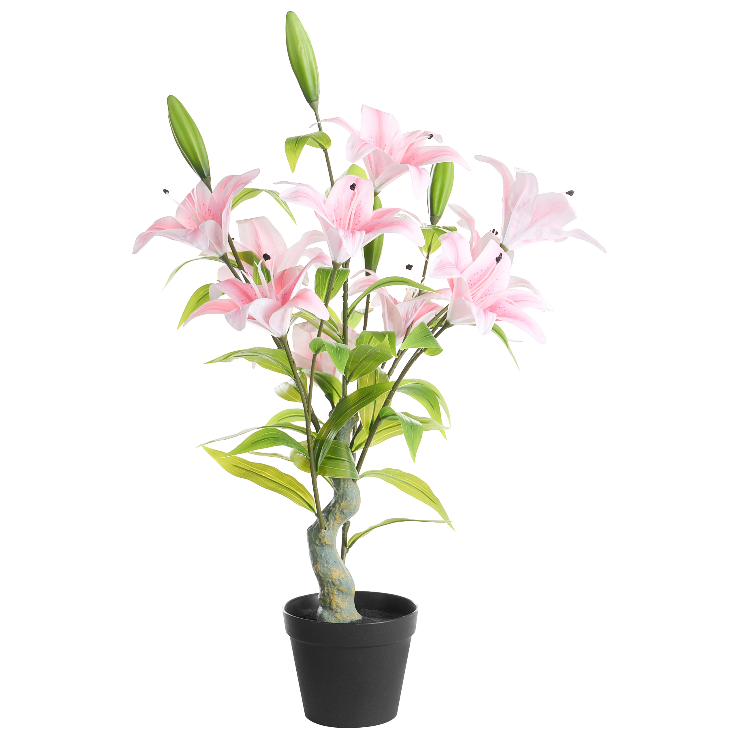 Tekokasvi LILIARIUM 85 cm Vaaleanpunainen