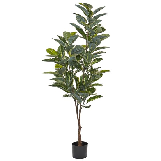 Tekokasvi FICUS ELASTICA 160 cm Vihreä