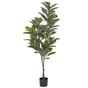 Tekokasvi FICUS ELASTICA 160 cm Vihreä