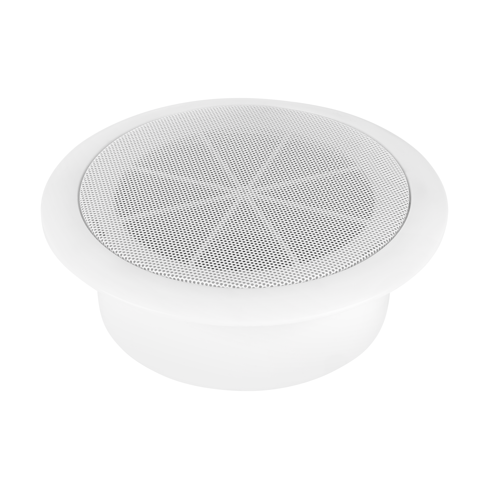 Dibeisi DBS-32018 kattokaiutin