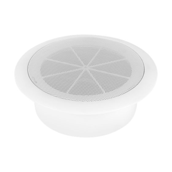 Dibeisi DBS-32018 kattokaiutin