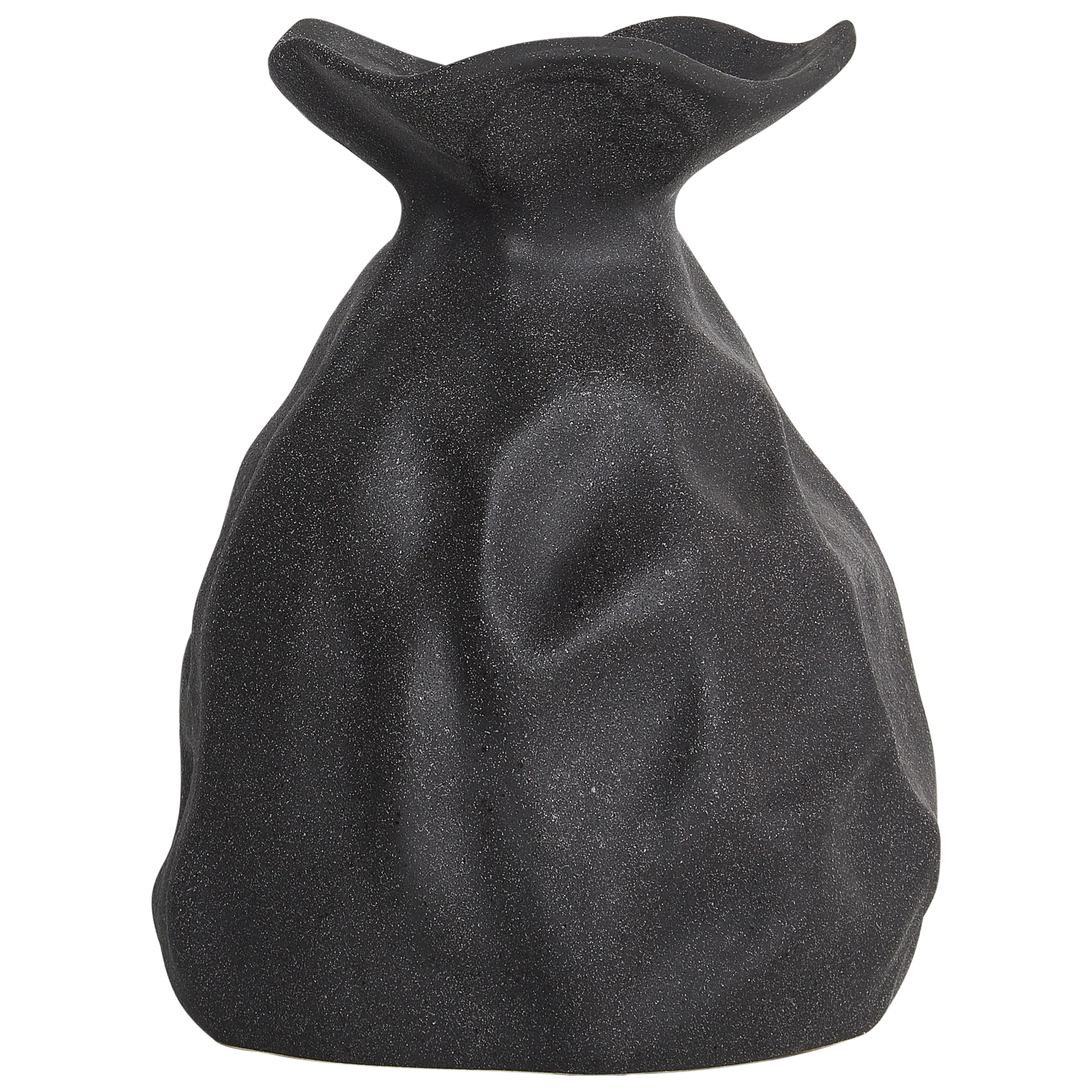 Kukkamaljakko COONTAIL 31 cm Kivitavara Musta
