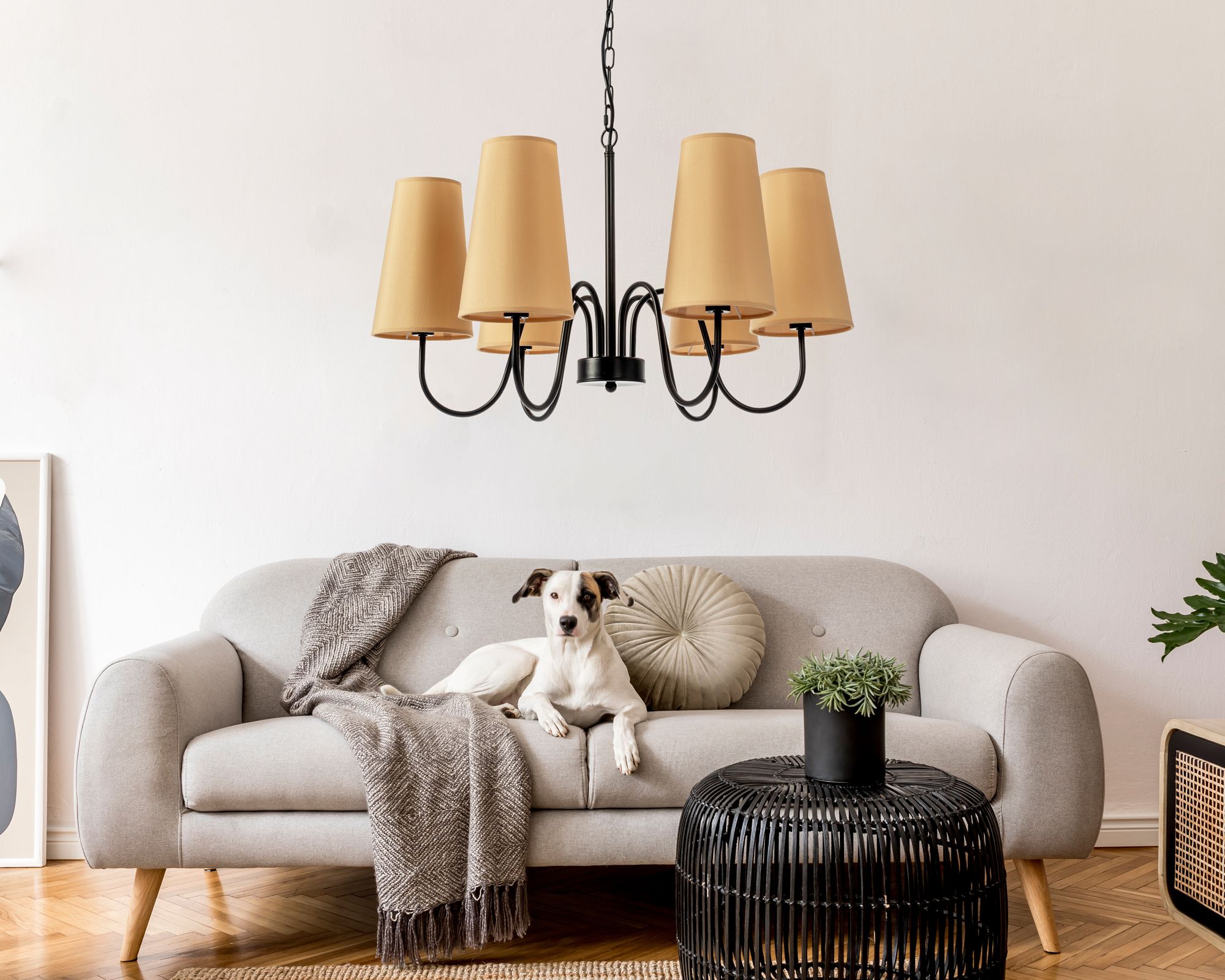 TOOLIGHT riippuva kattovalaisin APP753-6 musta, 70x70x110cm