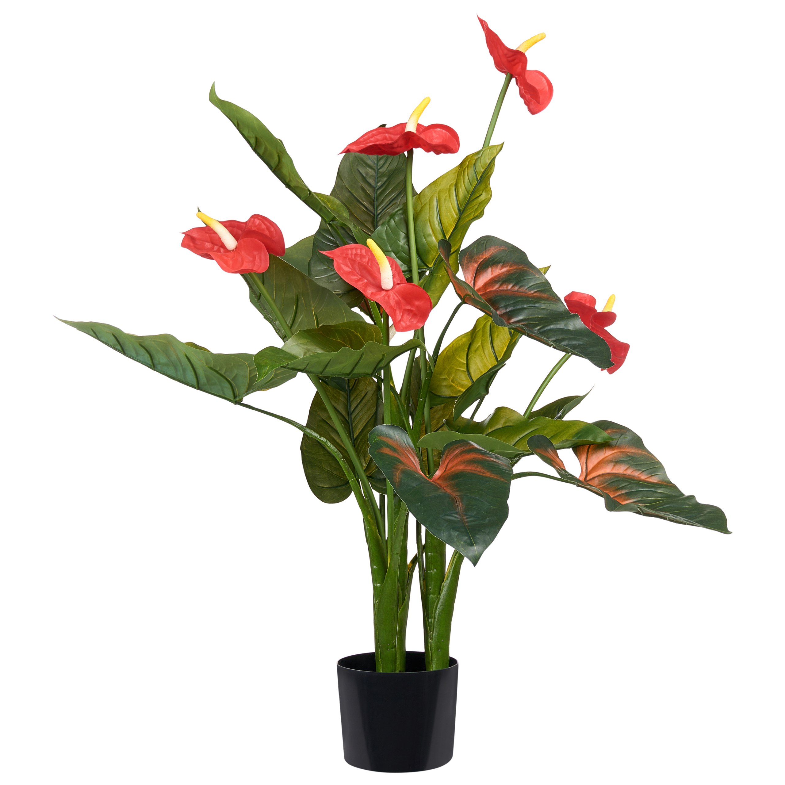 Tekokasvi ANTHURIUM 95 cm Vihreä
