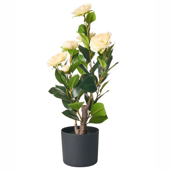 Tekokasvi CAMELLIA 60 cm Vihreä