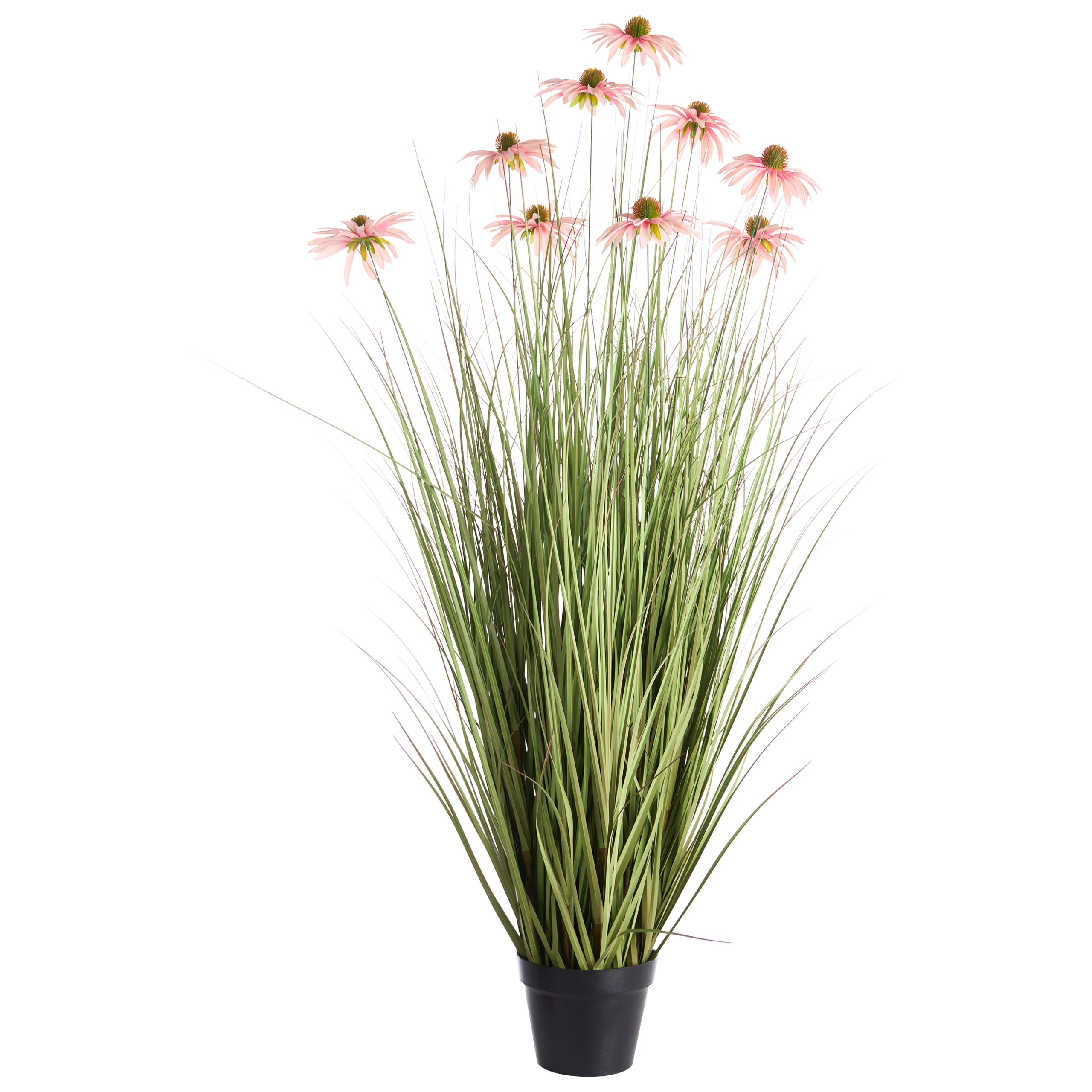 Tekokasvi RUDBEKDARIUM 120 cm Vaaleanpunainen