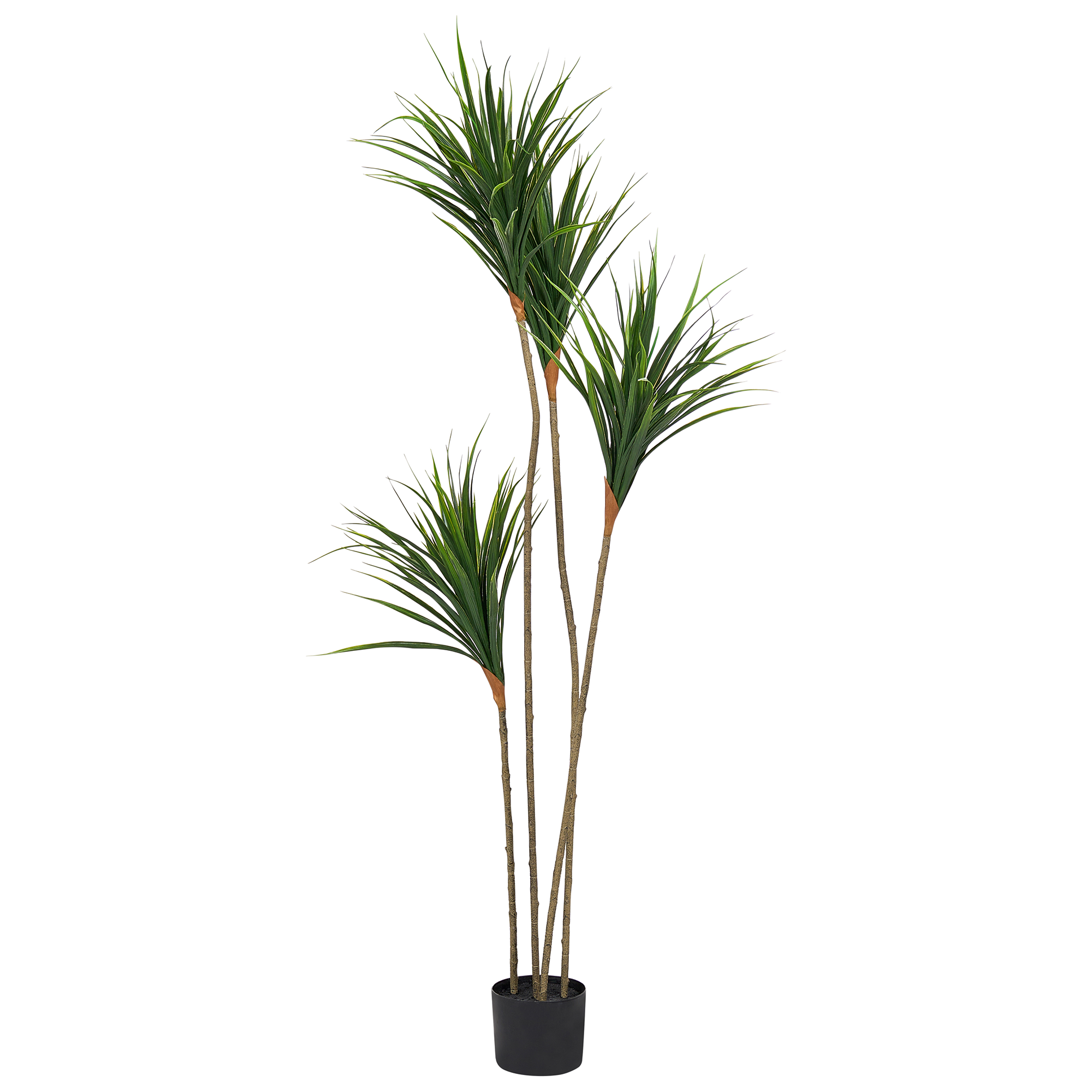 Tekokasvi DRACAENA DRACO 165 cm Vihreä