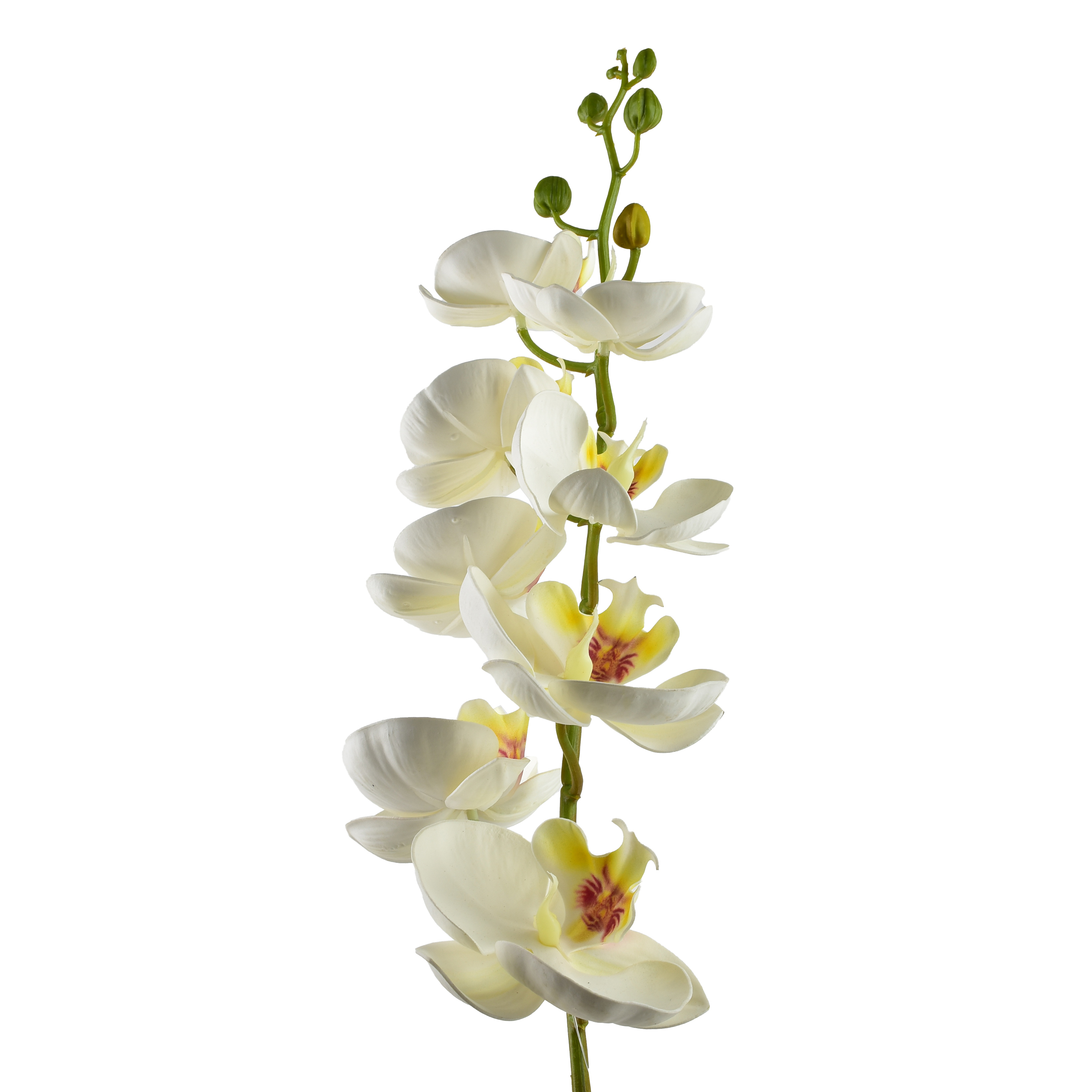 tekokukka muovi Mondex Viridis 85cm valkoinen 1kpl