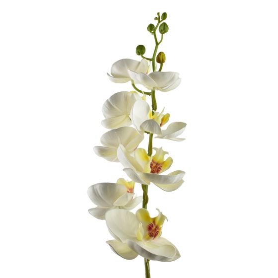 tekokukka muovi Mondex Viridis 85cm valkoinen 1kpl