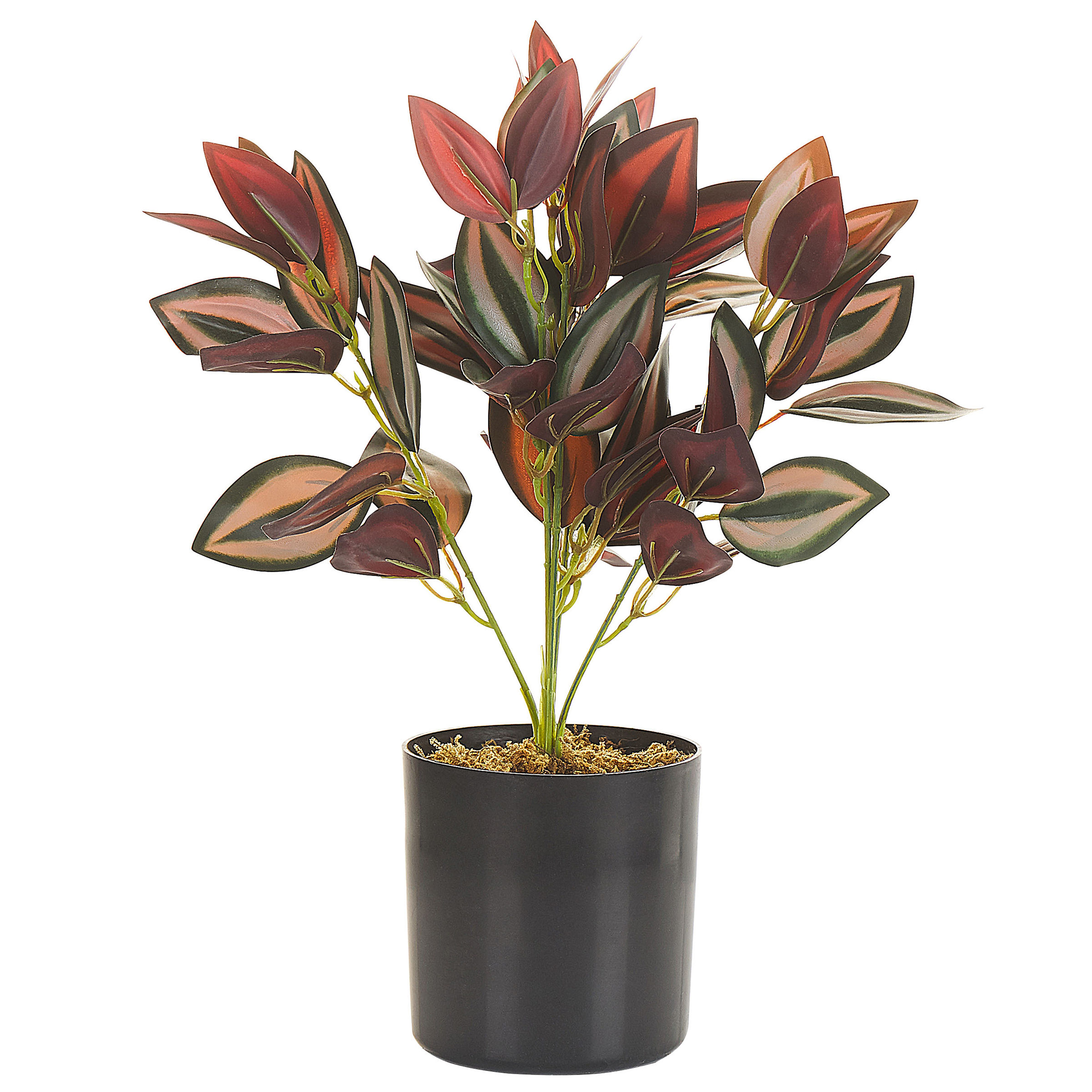 Tekokasvi TRADESCANTIA 35 cm Punainen