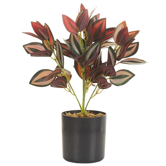 Tekokasvi TRADESCANTIA 35 cm Punainen