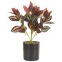 Tekokasvi TRADESCANTIA 35 cm Punainen