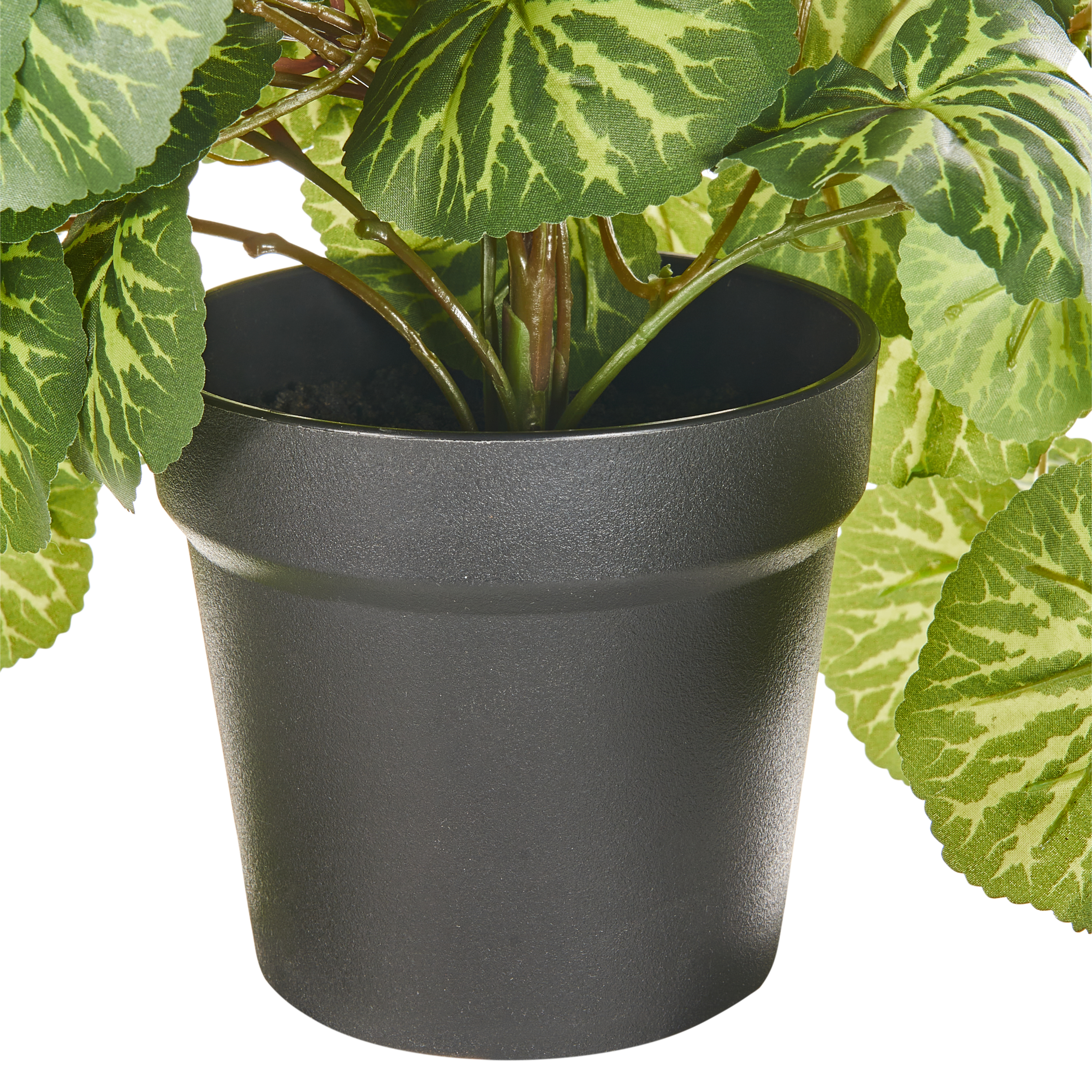 Tekokasvi riippuva STRAWBERRY BEGONIA 37 cm Vihreä