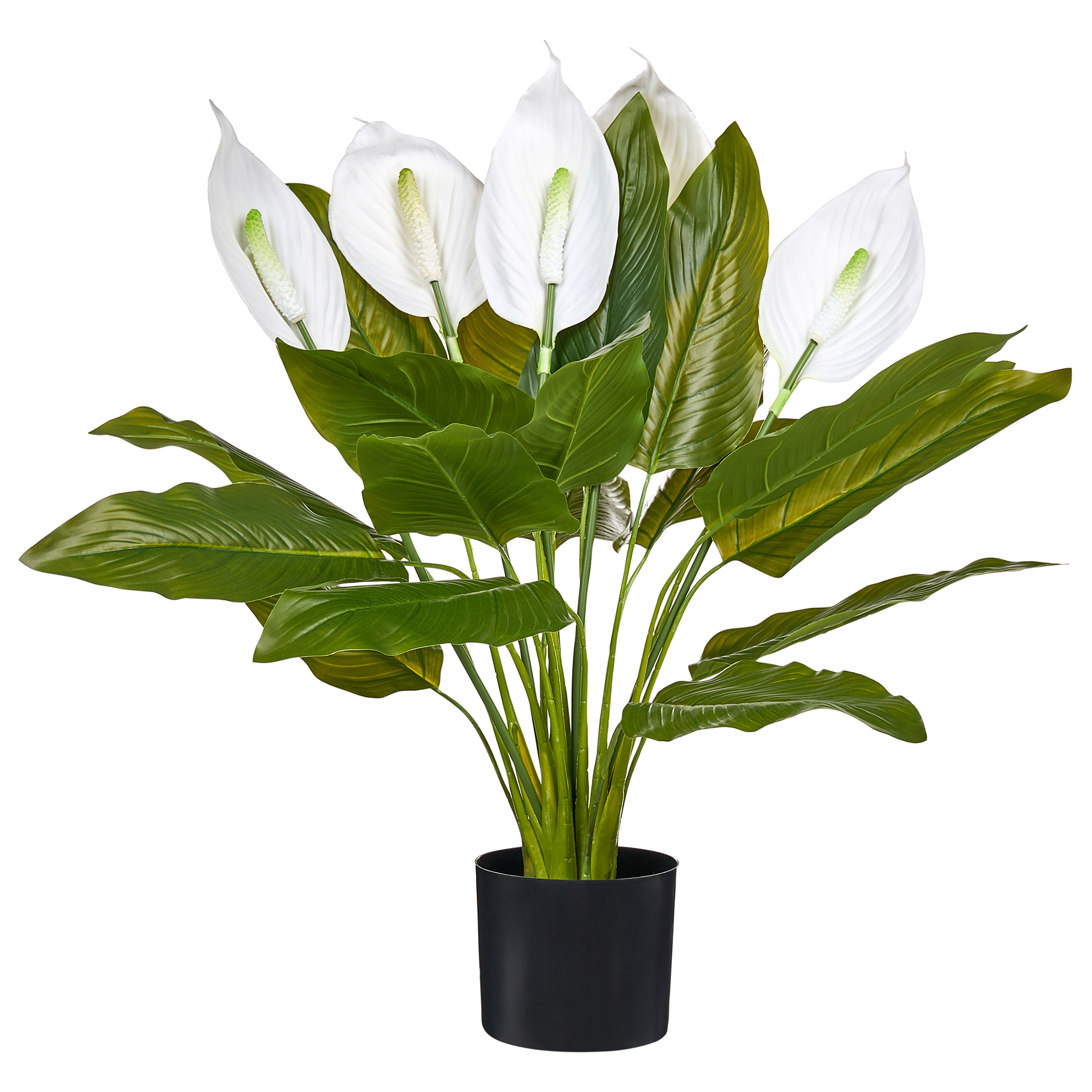 Tekokasvi SPATHPHYLLUM 70 cm Vihreä